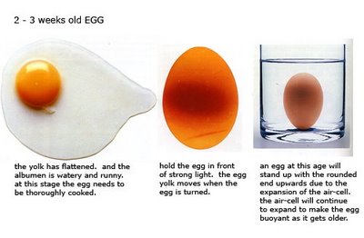 [Two Week Old Egg Using The Buoyancy Test]
