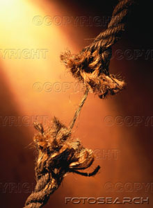 [This Is Not Kong's Rope...He Prepared Better!]